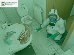 Tatortreinigung Hannover Mitte, Tatortreinigung Hannover Calenberger Neustadt , Tatortreinigung Hannover Nordstadt, Tatortreinigung Hannover Südstadt, Tatortreinigung Hannover Waldhausen, Tatortreinigung Hannover Waldheim, Tatortreinigung Hannover Bult, Tatortreinigung Hannover Zoo, Tatortreinigung Hannover Oststadt, Tatortreinigung Hannover List, Tatortreinigung Hannover Vahrenwald, Tatortreinigung Hannover Vahrenheide, Tatortreinigung Hannover Hainholz, Tatortreinigung Hannover Herrenhausen, Tatortreinigung Hannover Burg, Tatortreinigung Hannover Leinhausen, Tatortreinigung Hannover Ledeburg, Tatortreinigung Hannover Stöcken, Tatortreinigung Hannover Marienwerder, Tatortreinigung Hannover Sahlkamp, Tatortreinigung Hannover Bothfeld, Tatortreinigung Hannover Lahe, Tatortreinigung Hannover Groß-Buchholz, Tatortreinigung Hannover Kleefeld, Tatortreiniger Hannover Mitte, Tatortreiniger Hannover Calenberger Neustadt , Tatortreiniger Hannover Nordstadt, Tatortreiniger Hannover Südstadt, Tatortreiniger Hannover Waldhausen, Tatortreiniger Hannover Waldheim, Tatortreiniger Hannover Bult, Tatortreiniger Hannover Zoo, Tatortreiniger Hannover Oststadt, Tatortreiniger Hannover List, Tatortreiniger Hannover Vahrenwald, Tatortreiniger Hannover Vahrenheide, Tatortreiniger Hannover Hainholz, Tatortreiniger Hannover Herrenhausen, Tatortreiniger Hannover Burg, Tatortreiniger Hannover Leinhausen, Tatortreiniger Hannover Ledeburg, Tatortreiniger Hannover Stöcken, Tatortreiniger Hannover Marienwerder, Tatortreiniger Hannover Sahlkamp, Tatortreiniger Hannover Bothfeld, Tatortreiniger Hannover Lahe, Tatortreiniger Hannover Groß-Buchholz, Tatortreiniger Hannover Kleefeld, Schädlingsbekämpfung Hannover Mitte, Schädlingsbekämpfung Hannover Calenberger Neustadt , Schädlingsbekämpfung Hannover Nordstadt, Schädlingsbekämpfung Hannover Südstadt, Schädlingsbekämpfung Hannover Waldhausen, Schädlingsbekämpfung Hannover Waldheim, Schädlingsbekämpfung Hannover Bult, Schädlingsbekämpfung Hannover Zoo, Schädlingsbekämpfung Hannover Oststadt, Schädlingsbekämpfung Hannover List, Schädlingsbekämpfung Hannover Vahrenwald, Schädlingsbekämpfung Hannover Vahrenheide, Schädlingsbekämpfung Hannover Hainholz, Schädlingsbekämpfung Hannover Herrenhausen, Schädlingsbekämpfung Hannover Burg, Schädlingsbekämpfung Hannover Leinhausen, Schädlingsbekämpfung Hannover Ledeburg, Schädlingsbekämpfung Hannover Stöcken, Schädlingsbekämpfung Hannover Marienwerder, Schädlingsbekämpfung Hannover Sahlkamp, Schädlingsbekämpfung Hannover Bothfeld, Schädlingsbekämpfung Hannover Lahe, Schädlingsbekämpfung Hannover Groß-Buchholz, Schädlingsbekämpfung Hannover Kleefeld, Kammerjäger Hannover Mitte, Kammerjäger Hannover Calenberger Neustadt , Kammerjäger Hannover Nordstadt, Kammerjäger Hannover Südstadt, Kammerjäger Hannover Waldhausen, Kammerjäger Hannover Waldheim, Kammerjäger Hannover Bult, Kammerjäger Hannover Zoo, Kammerjäger Hannover Oststadt, Kammerjäger Hannover List, Kammerjäger Hannover Vahrenwald, Kammerjäger Hannover Vahrenheide, Kammerjäger Hannover Hainholz, Kammerjäger Hannover Herrenhausen, Kammerjäger Hannover Burg, Kammerjäger Hannover Leinhausen, Kammerjäger Hannover Ledeburg, Kammerjäger Hannover Stöcken, Kammerjäger Hannover Marienwerder, Kammerjäger Hannover Sahlkamp, Kammerjäger Hannover Bothfeld, Kammerjäger Hannover Lahe, Kammerjäger Hannover Groß-Buchholz, Kammerjäger Hannover Kleefeld, Tatortreinigung, Tatortreiniger, Schädlingsbekämpfung, Kammerjäger